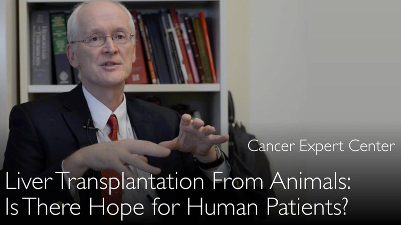 Levertransplantatie van dieren. Hoop en uitdagingen. 8