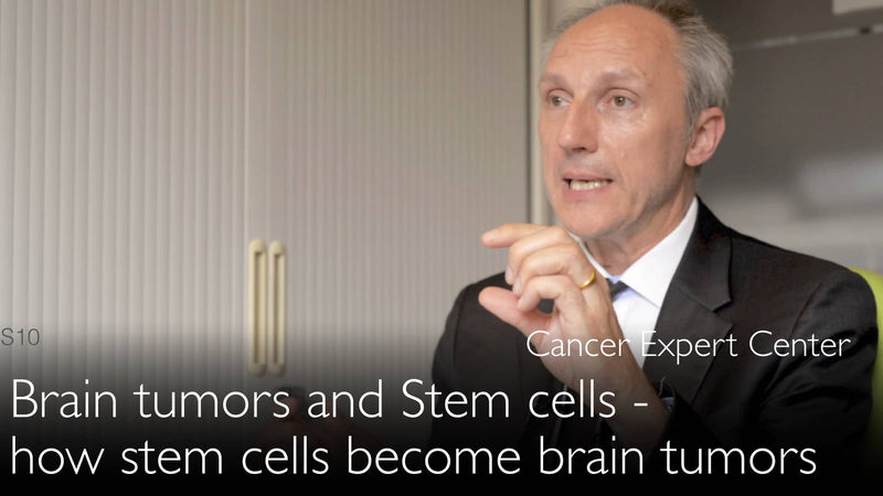 Hersentumoren en stamcellen. Hoe stamcellen hersenkanker worden. 9