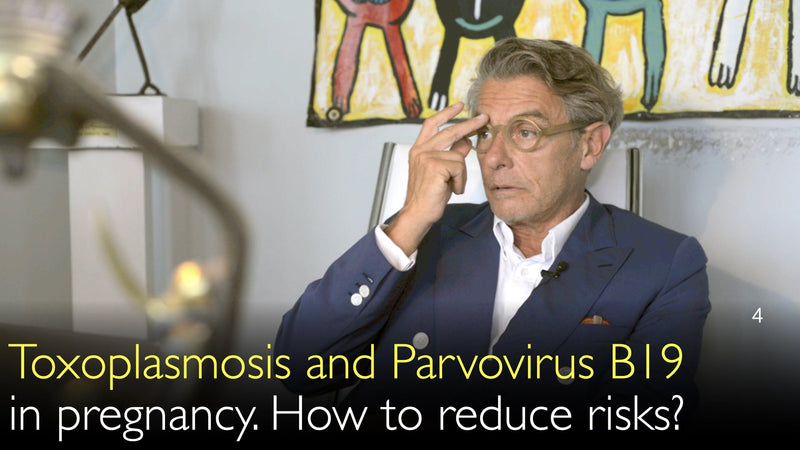 Toxoplasmose en Parvovirus B19 tijdens de zwangerschap. Hoe risico&