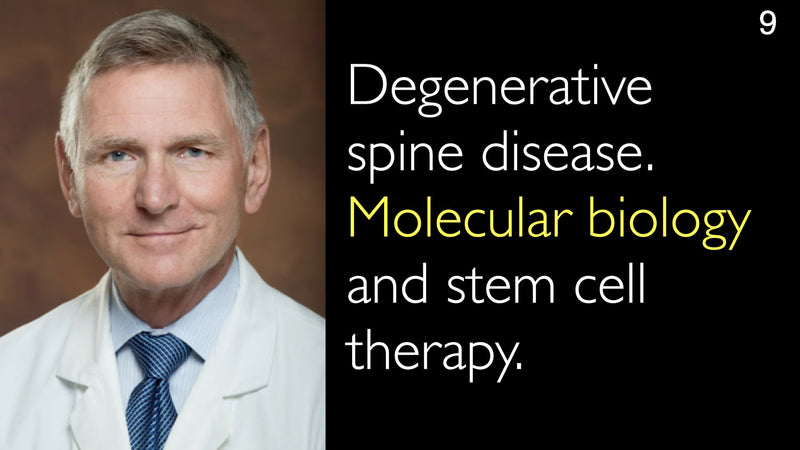 Degenerative spine disease. Molecular biology and stem cell therapy. 9
