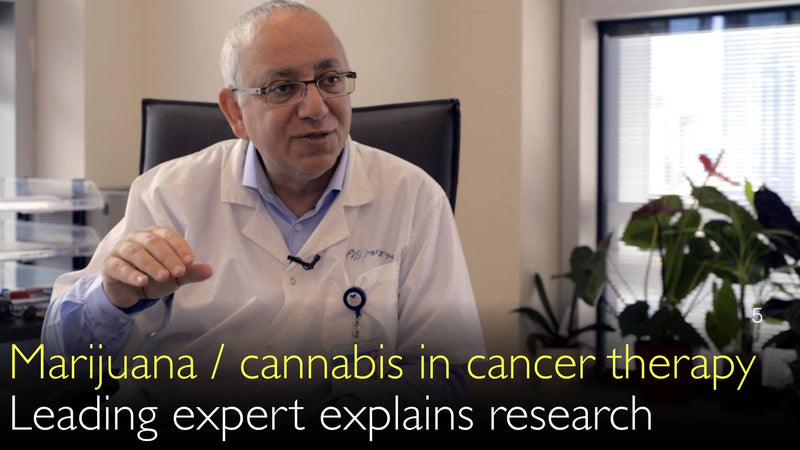Marijuana and cannabis in cancer therapy. 5